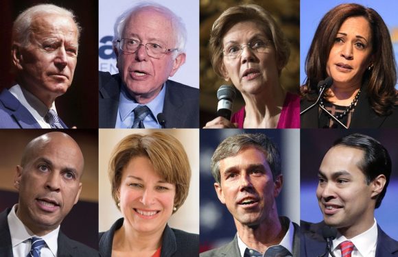 VIDEO. Présidentielle américaine: Biden, Sanders, Warren, Beto… Ces démocrates favoris pour 2020
