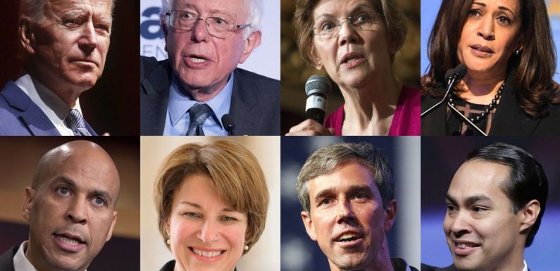 VIDEO. Présidentielle américaine: Biden, Sanders, Warren, Beto… Ces démocrates favoris pour 2020