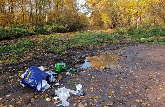Vidéo. Hauts-de-France: Deux méthodes efficaces pour lutter contre les dépôts sauvages de déchets