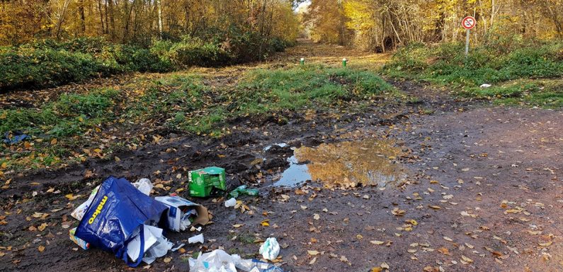 Vidéo. Hauts-de-France: Deux méthodes efficaces pour lutter contre les dépôts sauvages de déchets