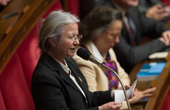 LREM: La députée Agnès Thill persiste et compare les femmes ayant recours à la PMA à des «droguées»