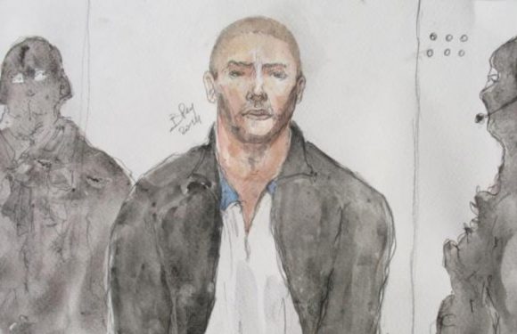 VIDEO. Attentat au musée juif de Bruxelles: Mehdi Nemmouche confronté aux proches et au film de la tuerie