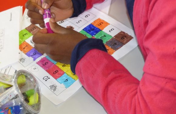 CP à 12 élèves en éducation prioritaire: Les résultats montrent que les élèves ont progressé