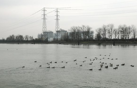 VIDEO. Fessenheim: Un appel d&rsquo;offres pour développer le solaire après le nucléaire