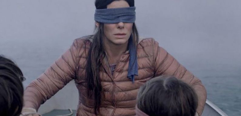 «Le Bird Box Challenge», le défi qui consiste à se bander les yeux, déjà à l’origine d’un accident