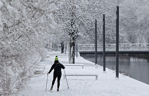 VIDEO. Lille : Une quinzaine de centimètres de neige ont recouvert la métropole Lilloise