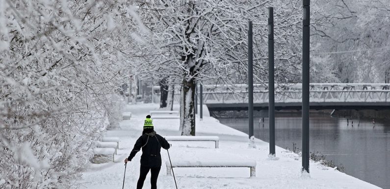 VIDEO. Lille : Une quinzaine de centimètres de neige ont recouvert la métropole Lilloise
