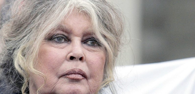 Var: Brigitte Bardot s’en prend à Macron, au grand débat national et aux chasseurs