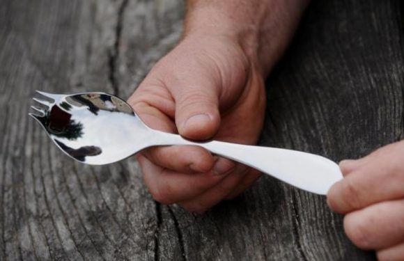 Toulouse: Adieu cuillères et fourchette, la «Georgette» débarque à la cantine du lycée