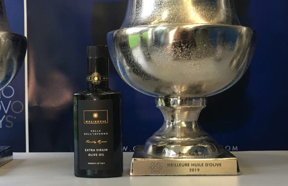 Olio Nuovo Days: Sicile, Japon et Provence sur le podium des meilleures huiles d&rsquo;olive nouvelles