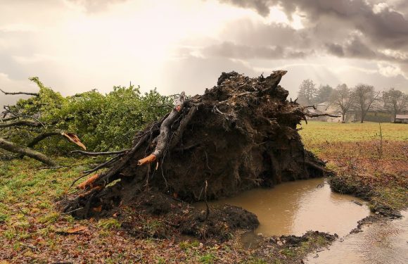 AUDIO. «Minute Papillon!»: Pourquoi ce prénom «Gabriel» à la tempête, aurores boréales et bébés dormeurs