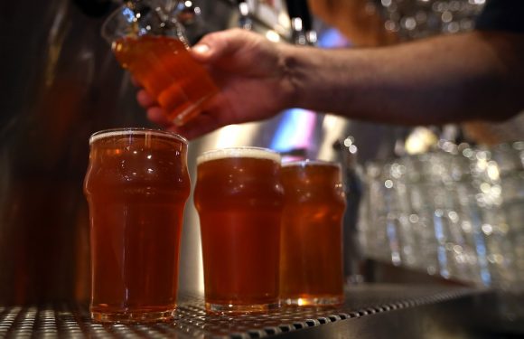 Bretagne: Une bière pour aider l’île de Groix à sauver ses champs et ses emplois