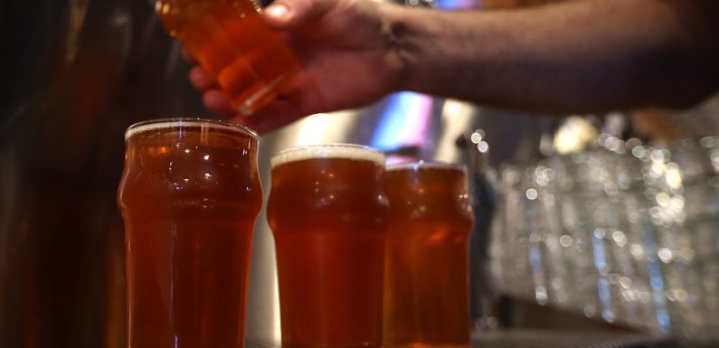 Bretagne: Une bière pour aider l’île de Groix à sauver ses champs et ses emplois