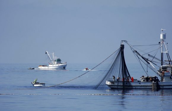 Le Havre: Des pêcheurs remontent un obus dans leurs filets