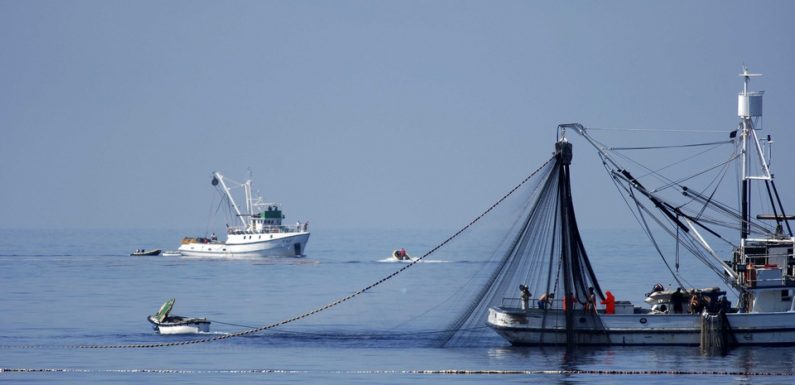 Le Havre: Des pêcheurs remontent un obus dans leurs filets