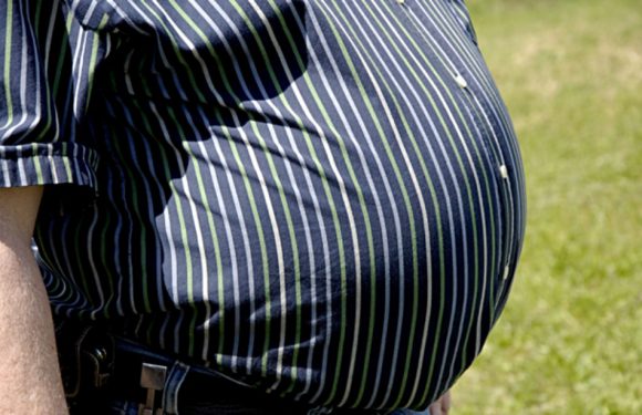 Obésité, sous-alimentation et changement climatique: Des scientifiques alertent sur le lien entre ces trois maux