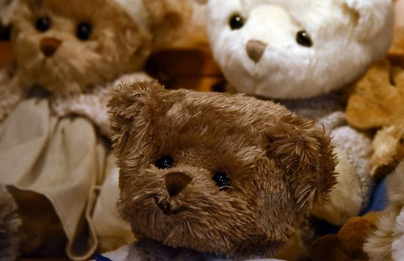Hawaï: Un hôtel renvoie à des parents le doudou oublié de leur fils