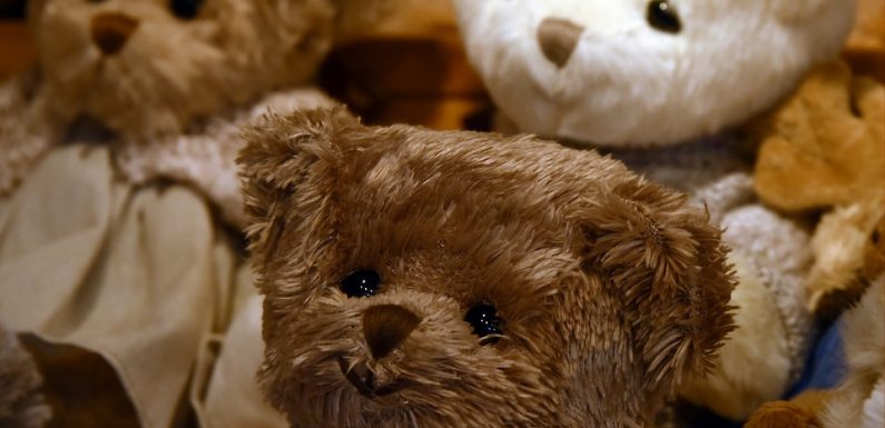 Hawaï: Un hôtel renvoie à des parents le doudou oublié de leur fils