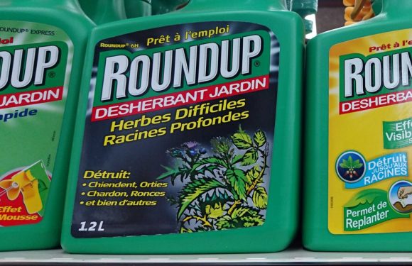 VIDEO. Interdiction du Roundup Pro 360: L&rsquo;Anses estime ne pas avoir fait d&rsquo;«erreur d&rsquo;appréciation»
