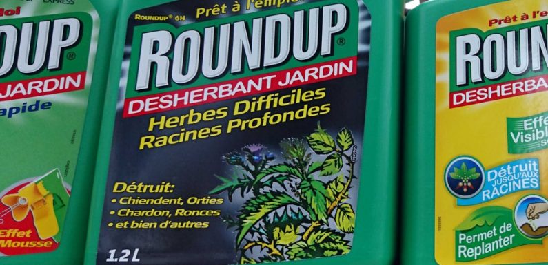 VIDEO. Interdiction du Roundup Pro 360: L’Anses estime ne pas avoir fait d’«erreur d’appréciation»