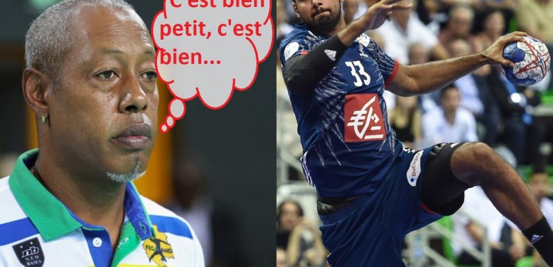Mondiaux de handball: Richardson, Mahé… Pourquoi les «fils de» percent au très haut niveau au hand?