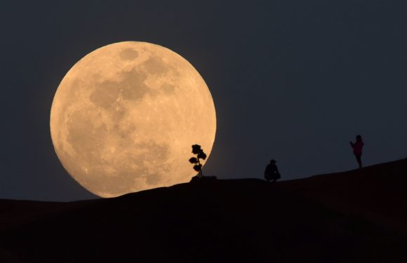 ArianeGroup va étudier la possibilité d’installer un «village lunaire» permanent