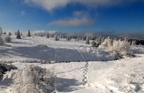 Vosges : « Demi-tour raté » en pleine nuit, ils dévalent la piste de ski en voiture