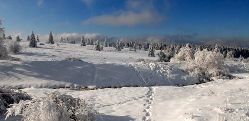 Vosges : « Demi-tour raté » en pleine nuit, ils dévalent la piste de ski en voiture
