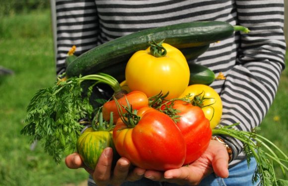 Le troc, ce truc qui revient à la mode