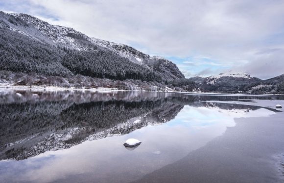 Les plus belles photos de nature d&rsquo;hiver des internautes