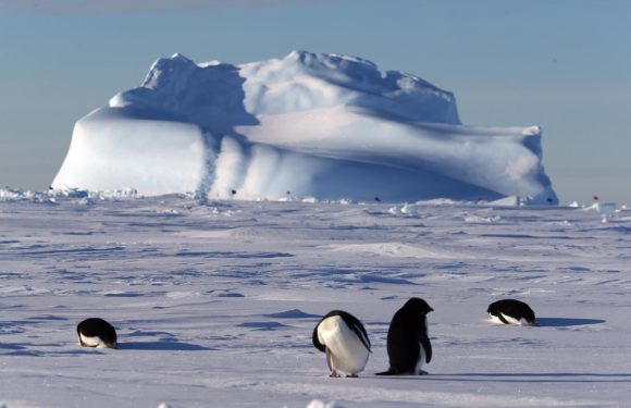 Fonte des glaces en Antarctique: «Des régions entières vont être submergées dans le monde», alerte le glaciologue Jean Jouzel