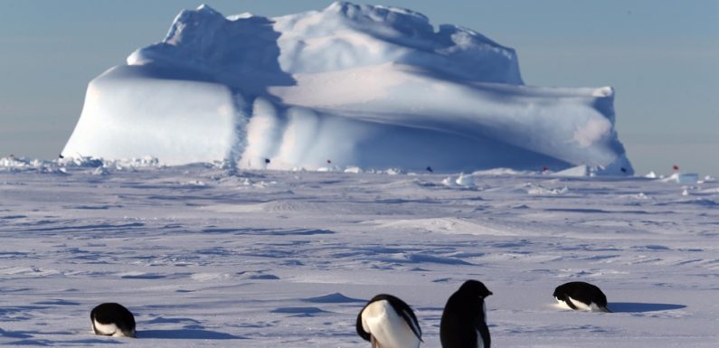 Fonte des glaces en Antarctique: «Des régions entières vont être submergées dans le monde», alerte le glaciologue Jean Jouzel