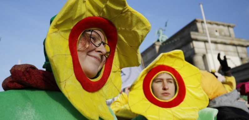 Paris, Marseille, Lyon, Belfort… Des rassemblements pour le climat prévus partout en France