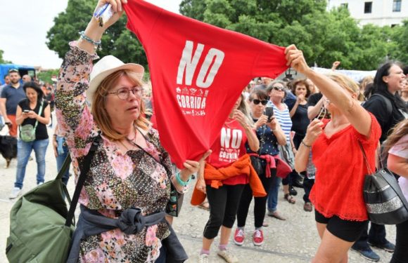 Anti-corrida: Une militante nîmoise condamnée à 1.500 euros d&rsquo;amende