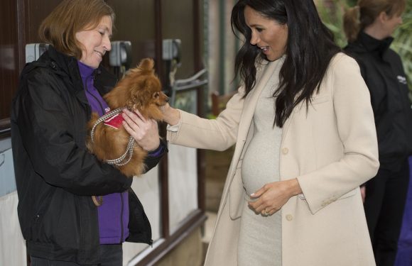 Meghan Markle aurait-elle révélé le sexe de son bébé ?…. Heather Locklear et Chris Heisser se séparent…