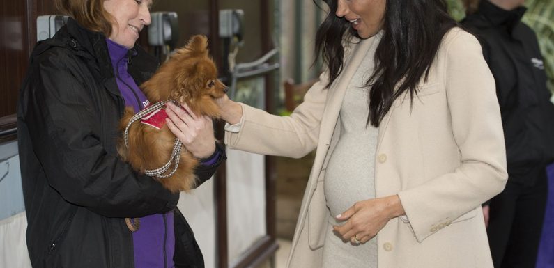 Meghan Markle aurait-elle révélé le sexe de son bébé ?…. Heather Locklear et Chris Heisser se séparent…