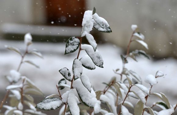 VIDEO. Météo: La neige fait son grand retour, mardi, dans toute la France