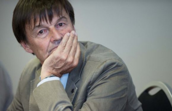 Nicolas Hulot de retour à la tête de sa Fondation