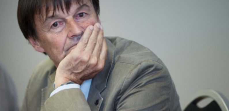 Nicolas Hulot de retour à la tête de sa Fondation