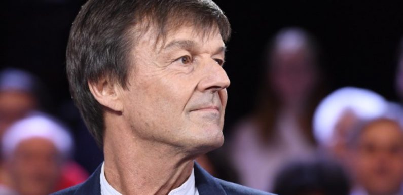 Nicolas Hulot veut revenir «sous une forme ou sous une autre»