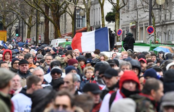 More than 10,000 people marched in Paris to protest the gilets jaunes