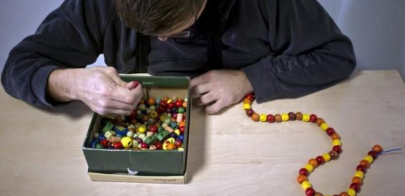 Scolarisation en milieu ordinaire: La mère d’un adolescent autiste déboutée par la CEDH