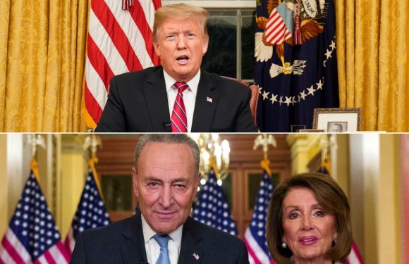 VIDEO. Etats-Unis: Trump propose un statut temporaire pour des immigrants en échange du mur