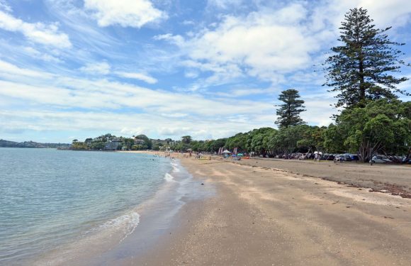 «Pires que des cochons»: Une famille britannique menacée d&rsquo;expulsion en Nouvelle-Zélande