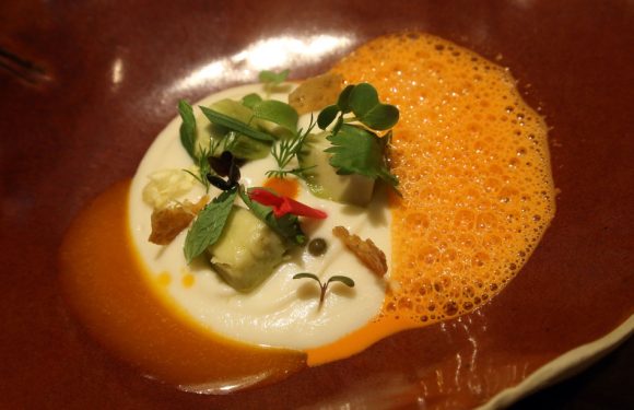 Marseille: MPG 2019, pour faire rayonner la gastronomie provençale à l’international