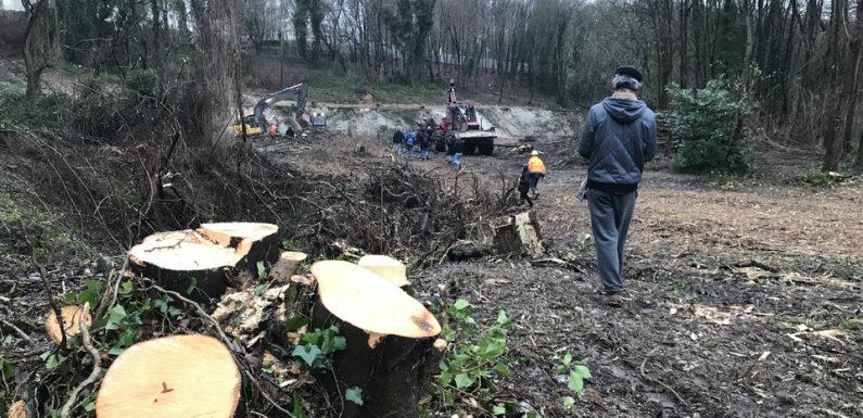 Romainville : Arbres coupés, béton dans le sol… L’aménagement d’une base de loisirs à la place d’une forêt divise