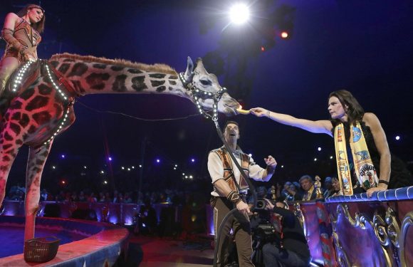 Monaco: Non, le festival du cirque de Monte-Carlo ne se passera pas d&rsquo;animaux