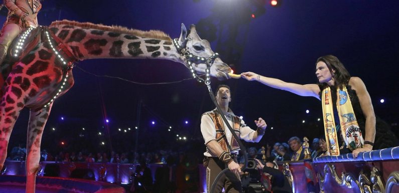 Monaco: Non, le festival du cirque de Monte-Carlo ne se passera pas d’animaux