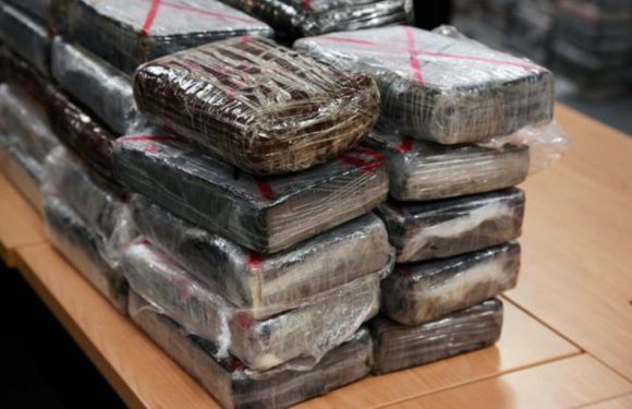 Suriname: La police annonce une prise record de cocaïne destinée à la France