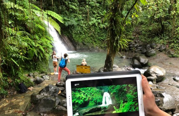 VIDEO. «Minuscule 2»: Comment les insectes se sont acclimatés à la Guadeloupe (et nous aussi par la même occasion)